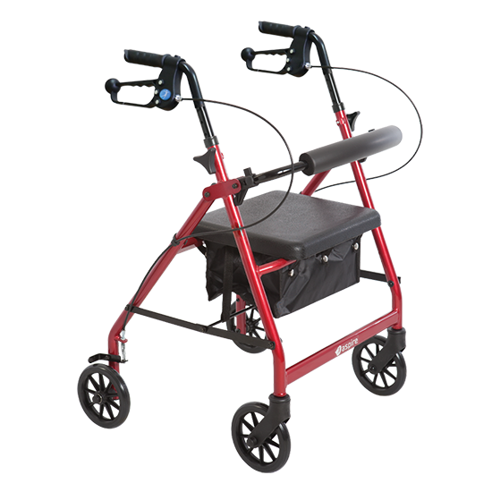 Aspire Mini Seat Walker